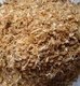 Dried Headless shrimp shell