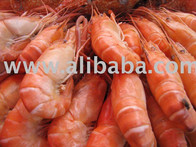 Dried Giant Edible Shrimp  from Cameroon for sale 500usd per mt cif