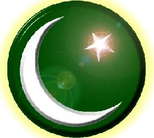Pakistani Rice