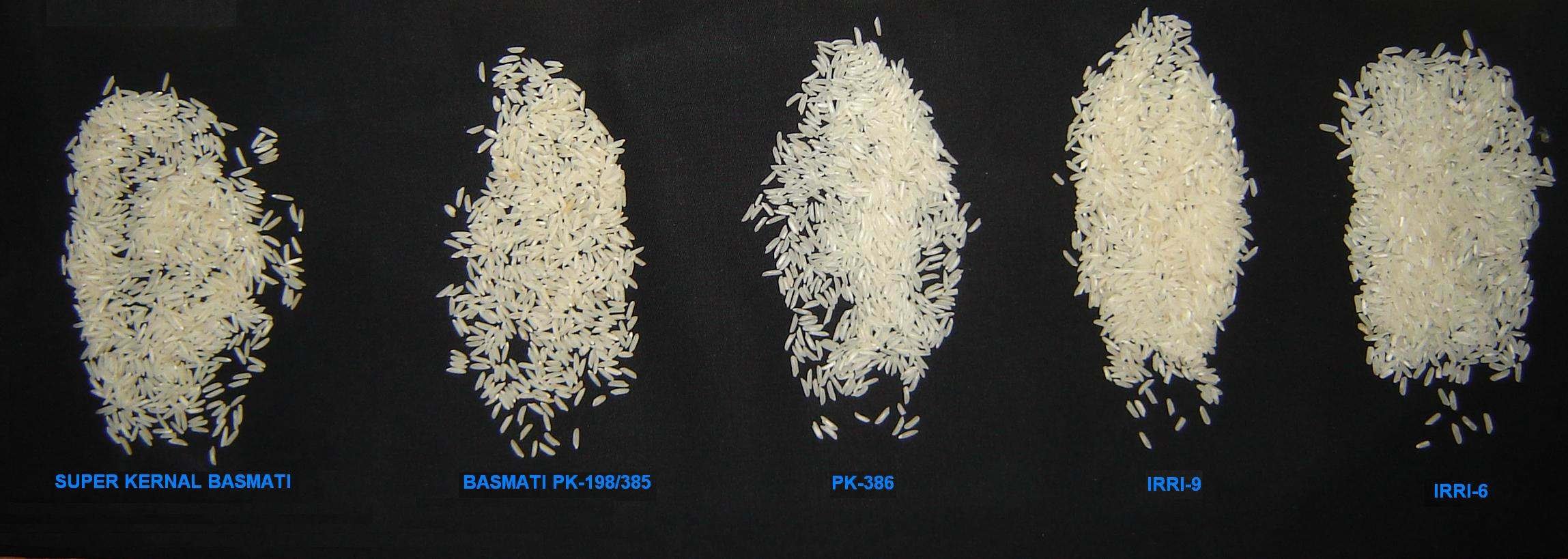 1121 Parboiled Rice
