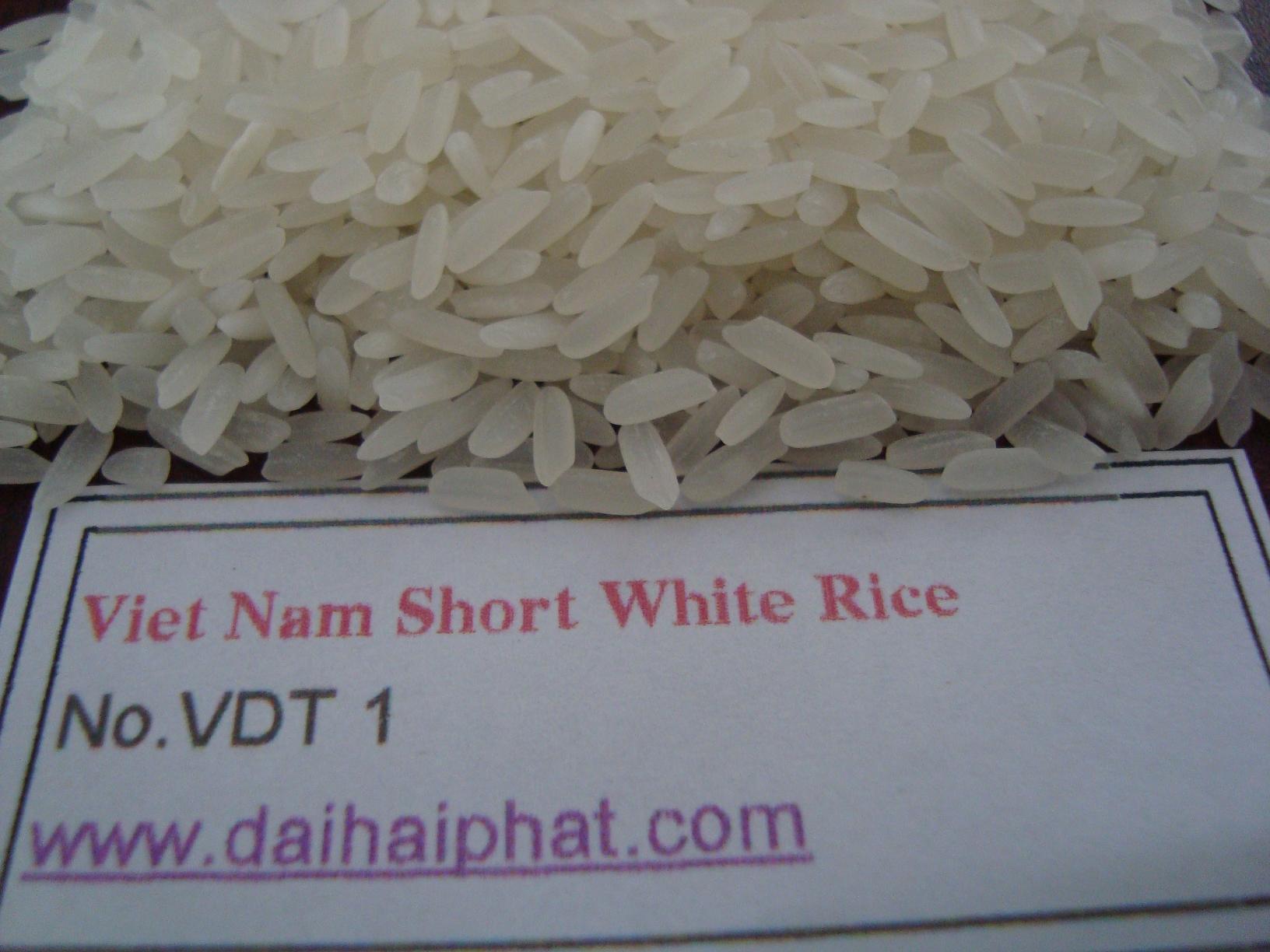 WHITE RICE