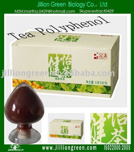 Herb Powder/ Health Food/  Tea  Polyphenol/ EGCG  5%-60%