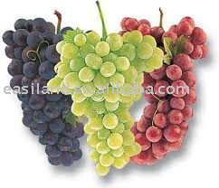 grape juice concentrateNO.04