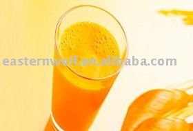 Carrot Juice Concentrated