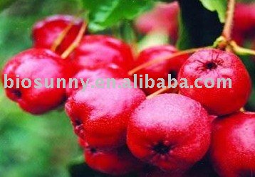 Hawthorn juice powder