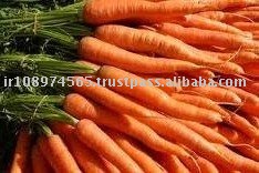 Carrot Juice Concentrate