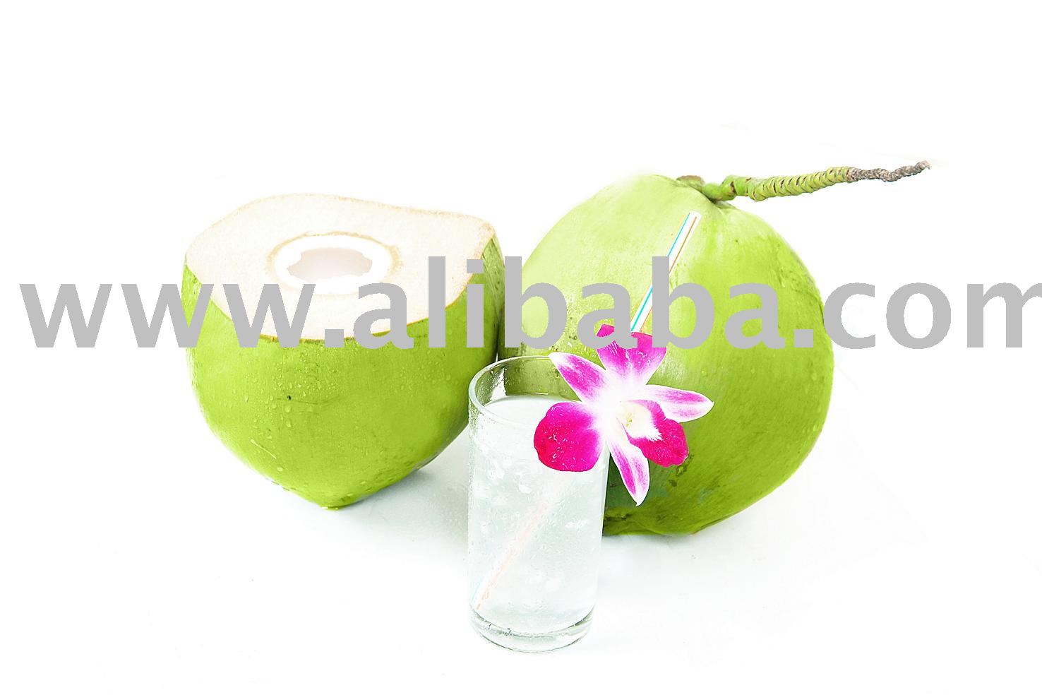 100% Coconut Juice