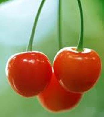 cherry juice concentrate