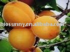  Apricot   juice  concentrates  powder 