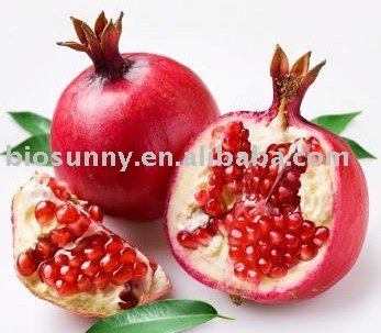 Pomegranate Juice Powder