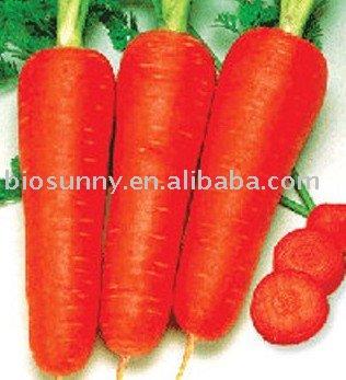 Carrot juice powder