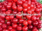 Sour cherry juice concentrates powder