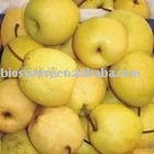  Pear  juice concentrates  powder 