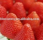 Strawberry juice concentrates powder