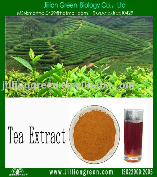 Herbal Extract Powder Health Food Tea Polyphenol