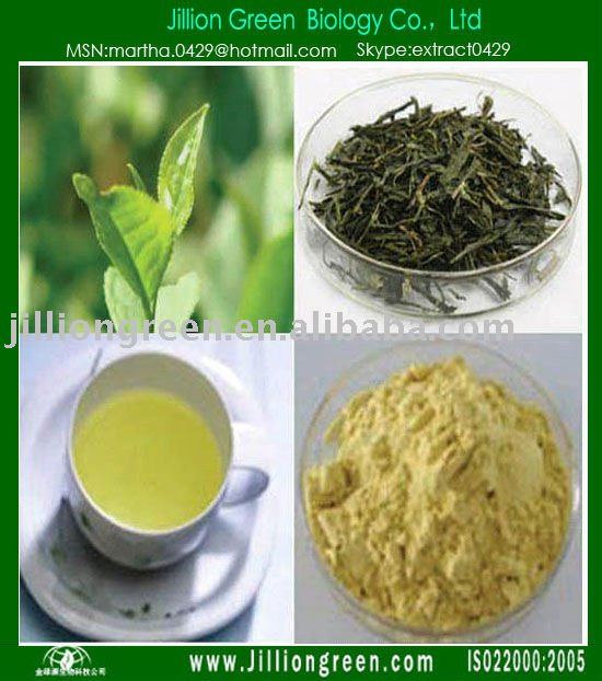 Instant Green Tea   Extract  Powder  Health  Food Tea Polyphenol