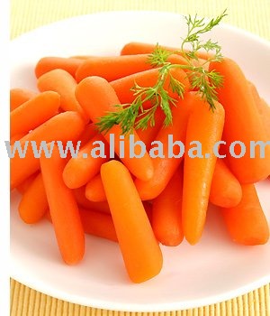 carrot juice concentrate top quality