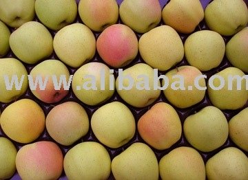 APPLE JUICE CONCENTRATE