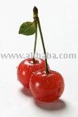 sourcherry juice concentrate