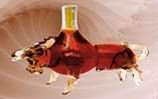 glass BULL with brandy  inside