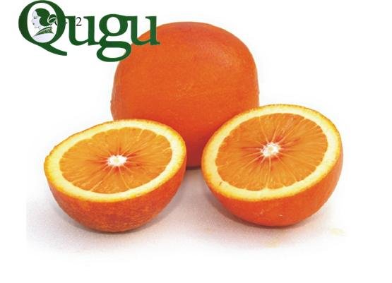 oranges navel/ fruit