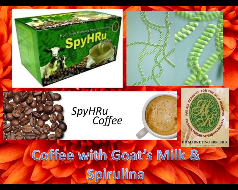 SpyHRu Coffee with Goat's Milk & Spirulina