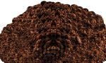  AGGLOMERATED   INSTANT   COFFEE 