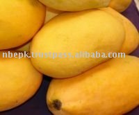 White Chaunsa Mango from Pakistan