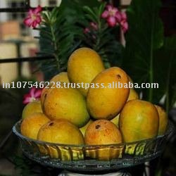 Fresh Mango