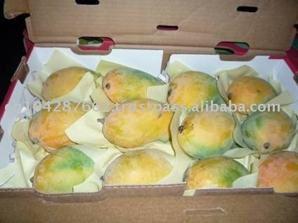 Fresh Mango