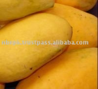 Chaunsa Mango from Pakistan