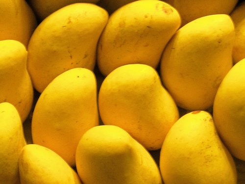 Mangos for exports