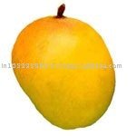 Alphonso Mango Fruit