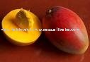 Mango kent