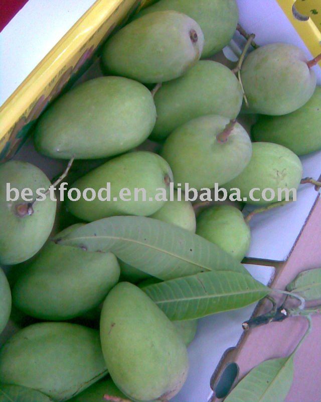 fresh mango