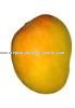 Fresh yellow mangoes