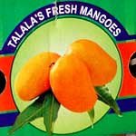 KESAR MANGO PULP