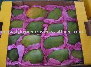 Alphonso Mango