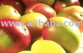 Indian mangoes