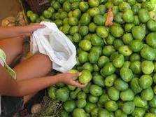 Fresh mango