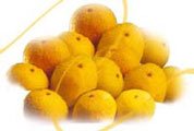 Indian Fresh Alphanso Mangoes
