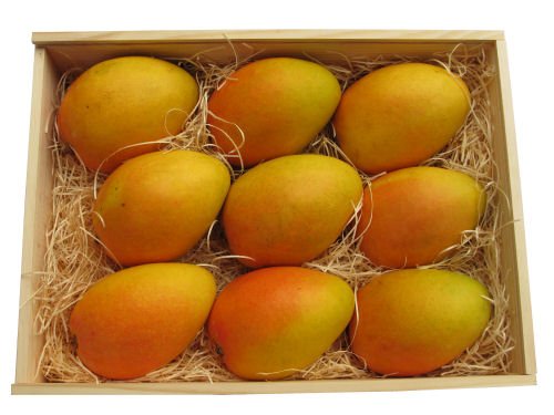 Mango