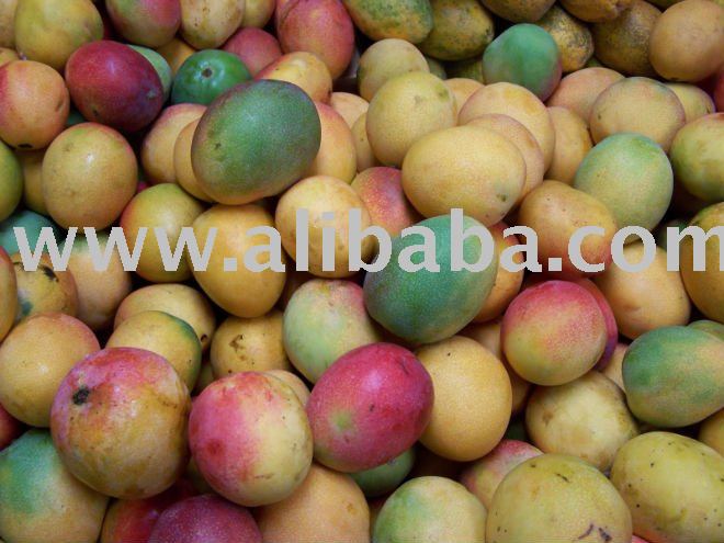  FRESH   MANGO 