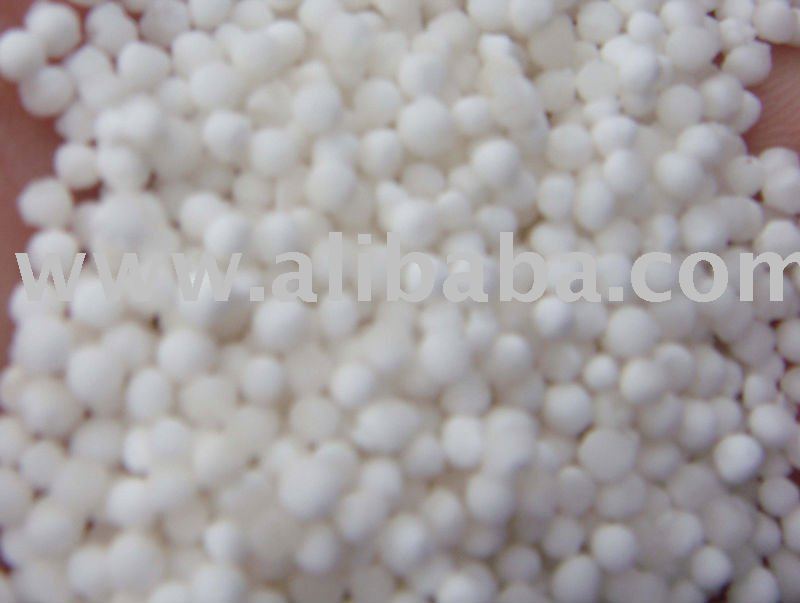 sago seed/tapioca pearl