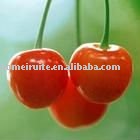 Energy healthy sour cherry juice
