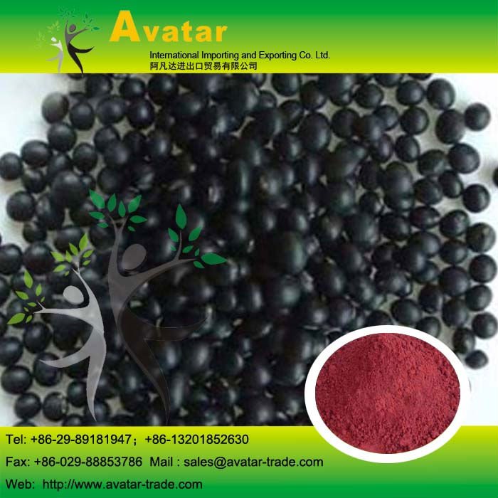 Black Soy Bean Extract