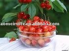 Fresh-squeezed 75% sour cherry soft juice