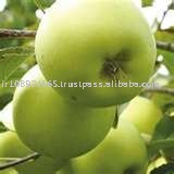 Iran Apple Juice