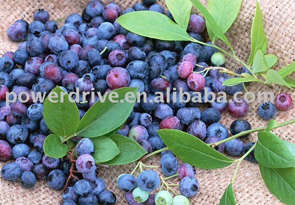 Blueberry Powder
