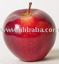 Apple Juice Concentrate,Puree